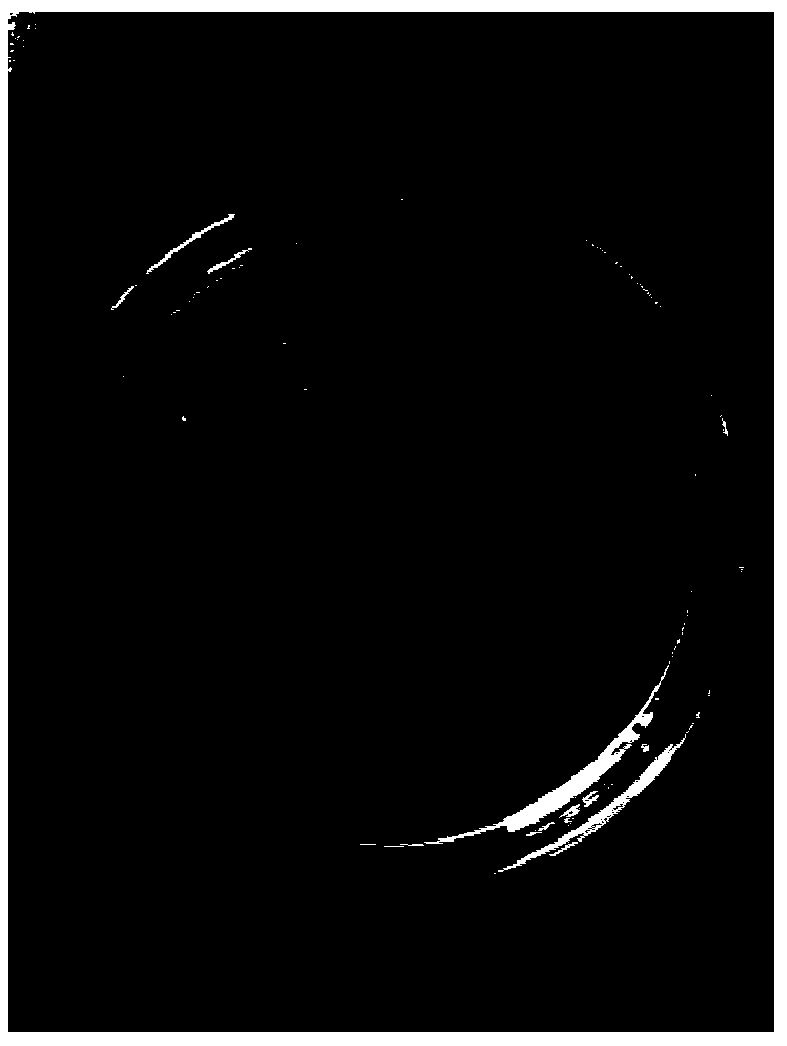 Co-doped ZnO quantum dot/attapulgite nano composite antibacterial agent and preparation method thereof