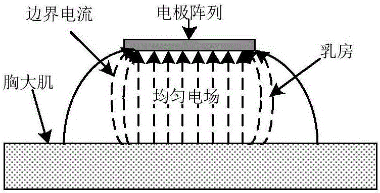 Large flat plate current gathering resistance measurement device and method applied to breast cancer