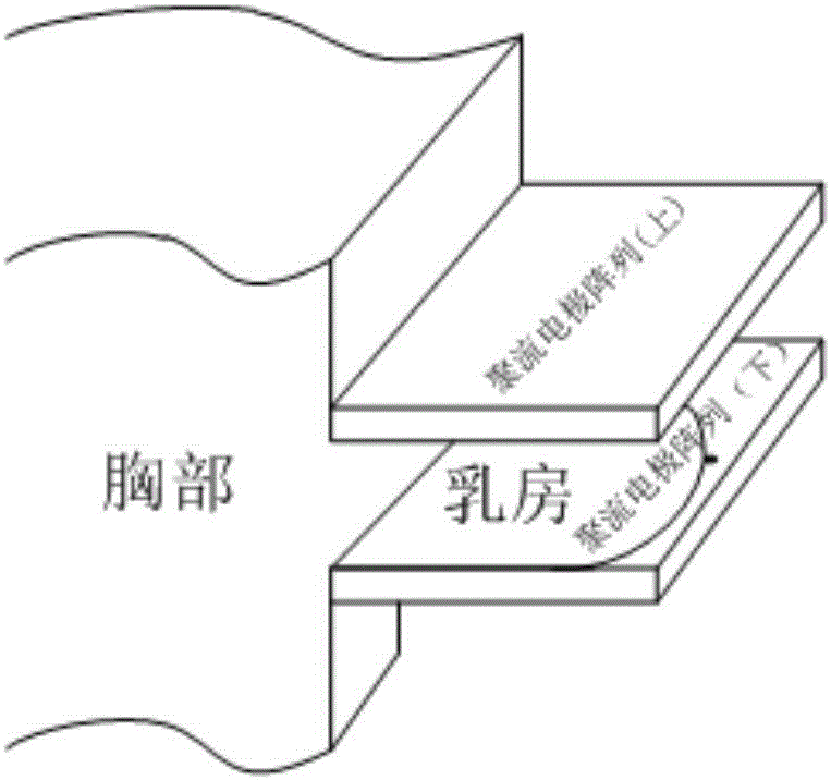 Large flat plate current gathering resistance measurement device and method applied to breast cancer