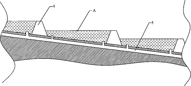 Water body micro-algae ecologic dialysis system device and applying method