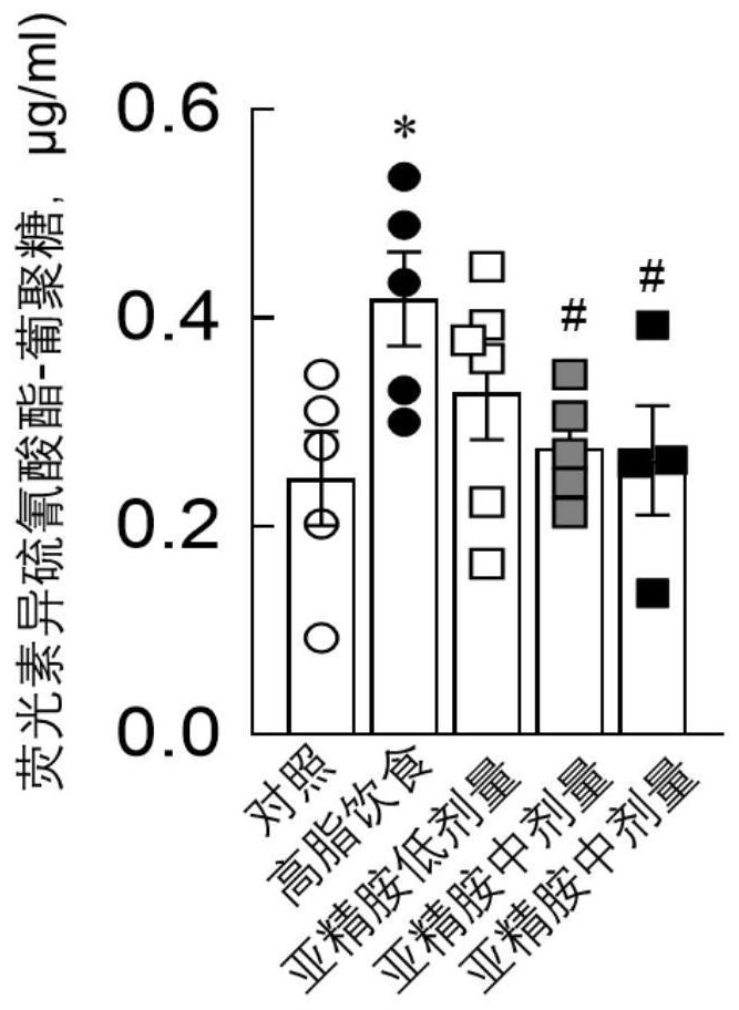 Application of spermidine in preparation of preparation for improving bacterial abundance of lachnospiraceae