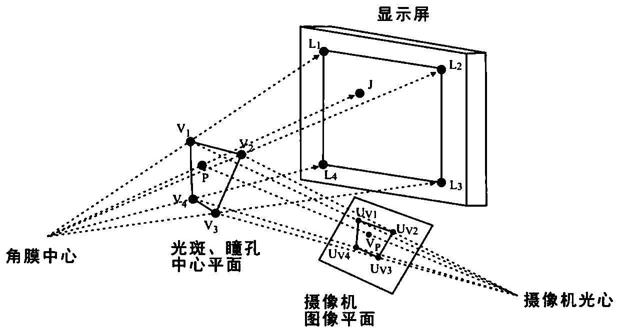 Device and method for realizing eye-tracking of virtual display screen by utilizing cross-ratio invariance