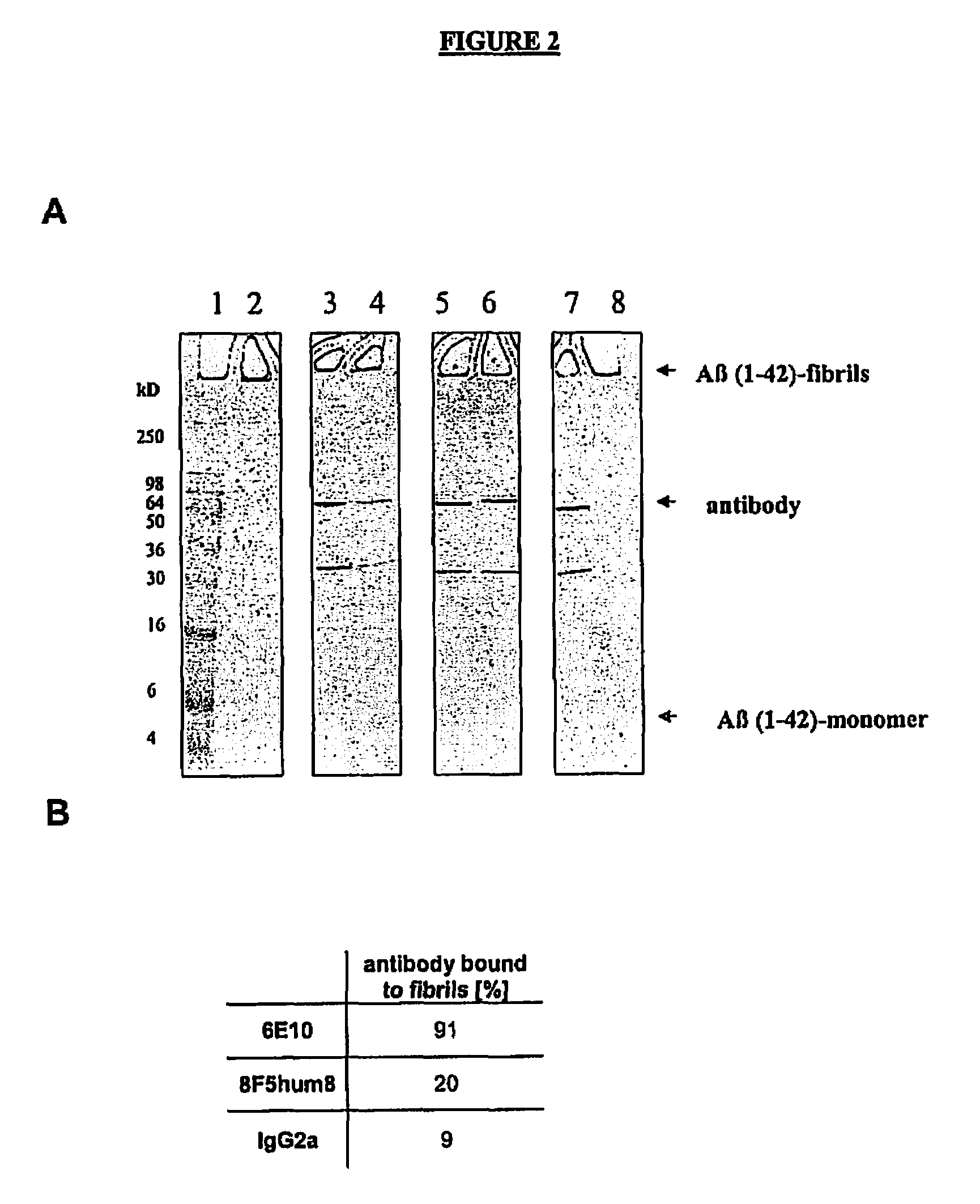 Humanized Antibodies Which Bind To AB (1-42) Globulomer And Uses Thereof