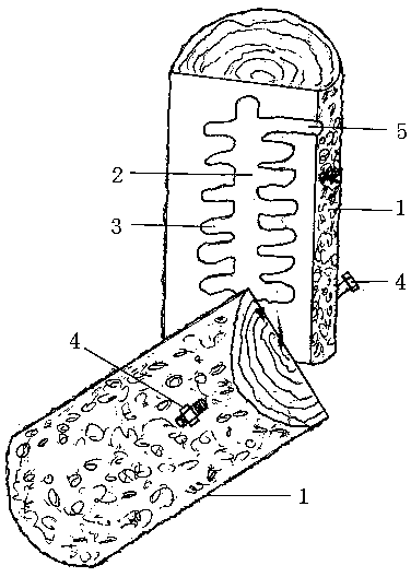 Vespa mandarinia breeding technology