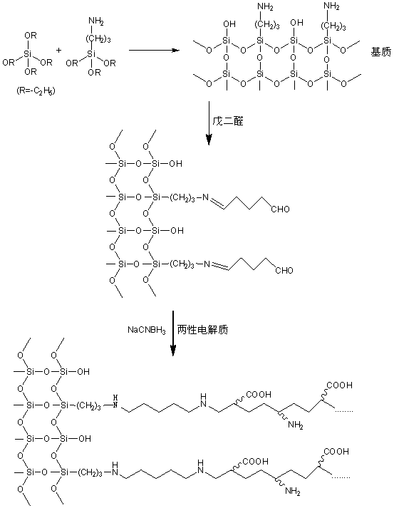 Amphoteric electrolyte-modified hybrid silica gel material and solid-phase extraction method thereof