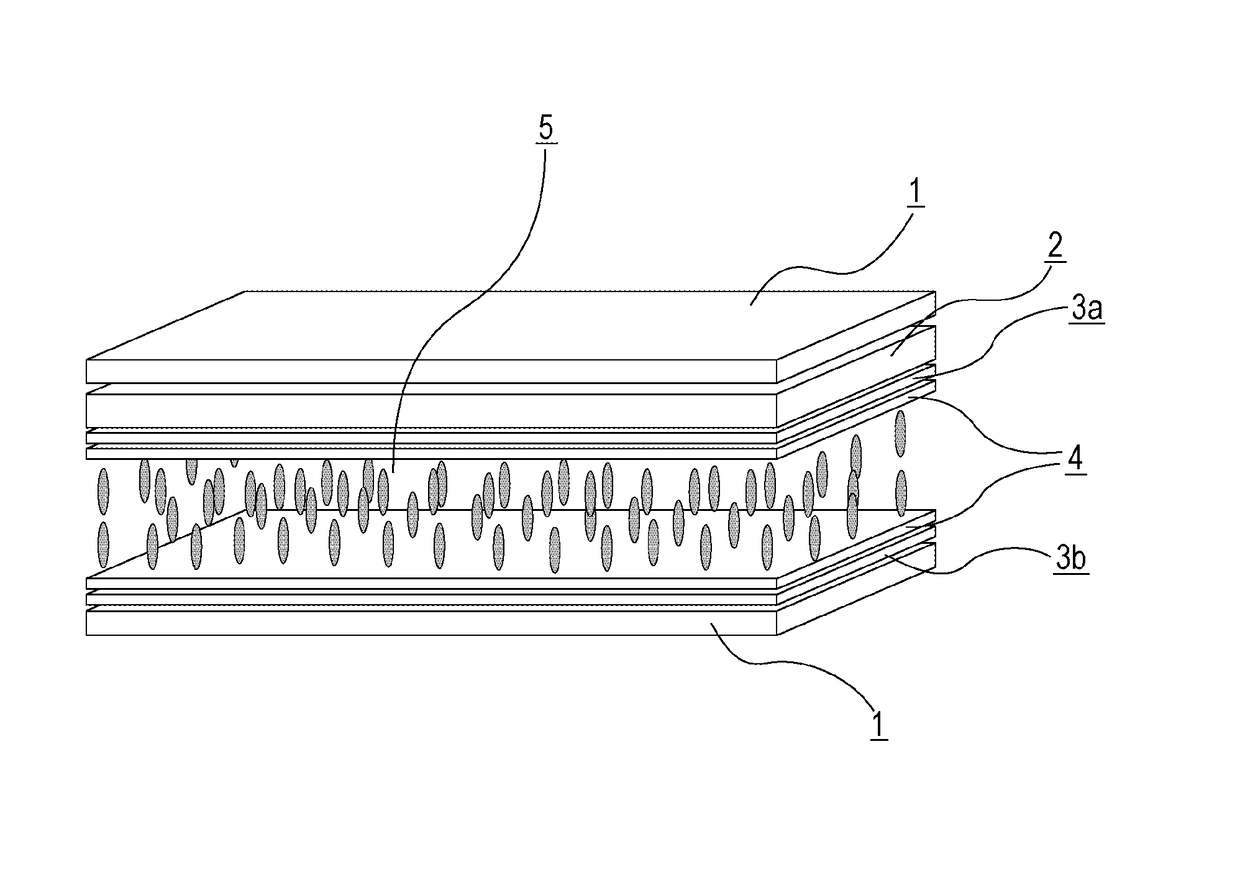 Liquid Crystal Display Device