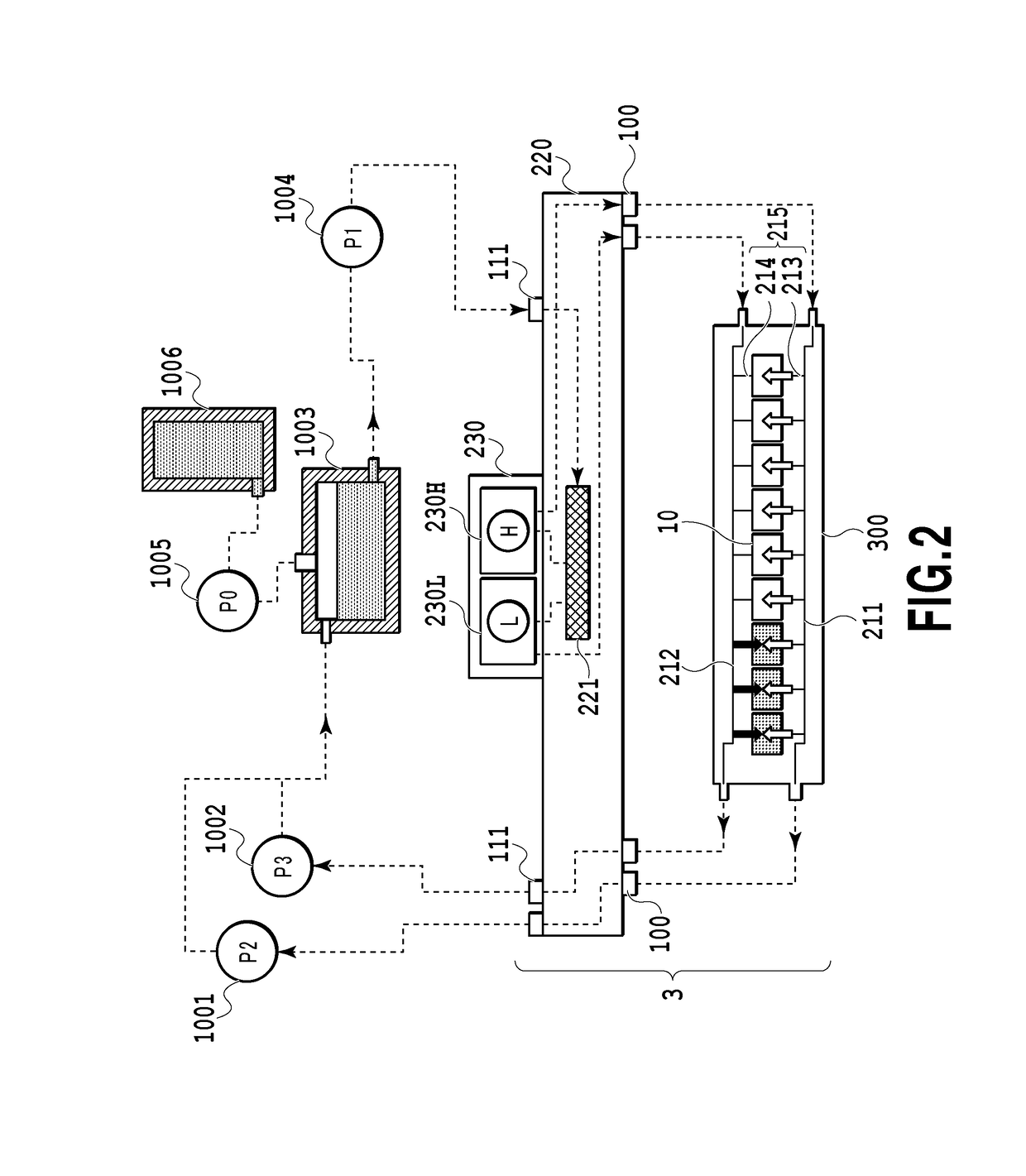 Liquid ejection apparatus and liquid ejection head