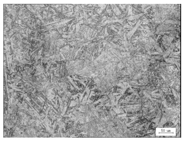 Heat treatment process of steel forging for hydraulic cylinder of deep-sea oil recovery equipment