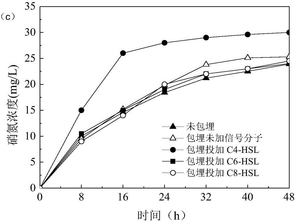 Method for improving activity of anaerobic ammonium oxidation embedded particles