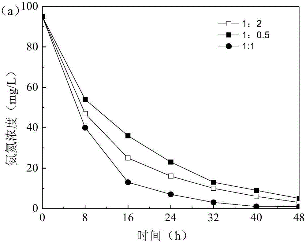 Method for improving activity of anaerobic ammonium oxidation embedded particles