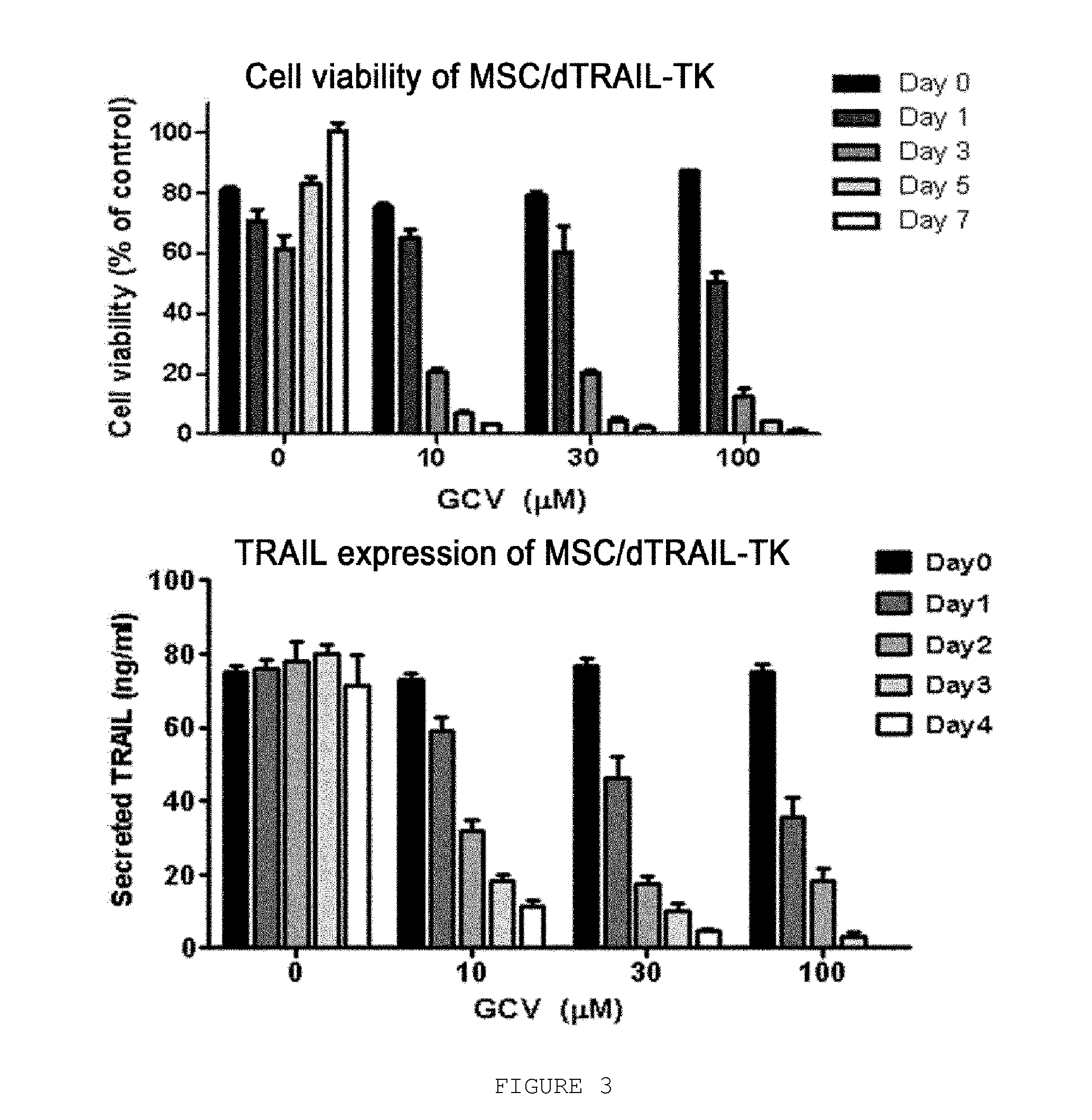 Vector simultaneously expressing dodecameric trail and hsv-tk suicide genes, and anticancer stem cell therapeutic agent using same