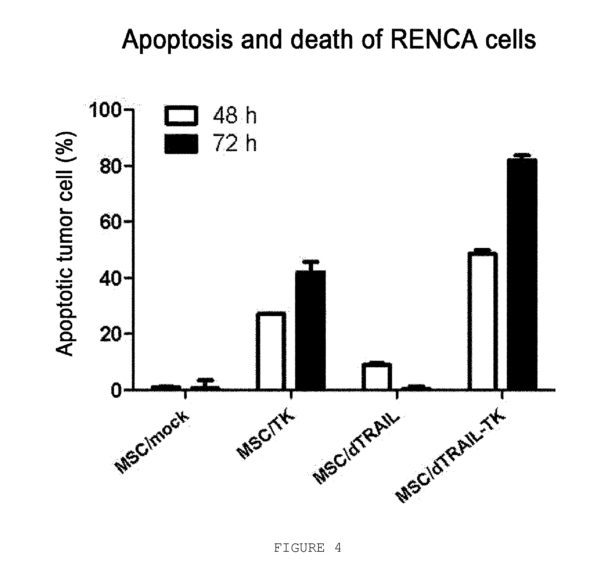 Vector simultaneously expressing dodecameric trail and hsv-tk suicide genes, and anticancer stem cell therapeutic agent using same