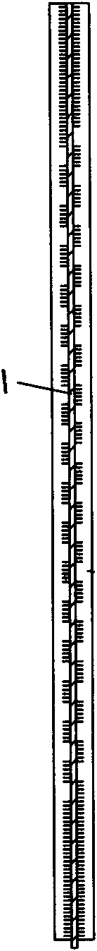 Structure for preventing bolt of steel plate shear wall with slits from slipping