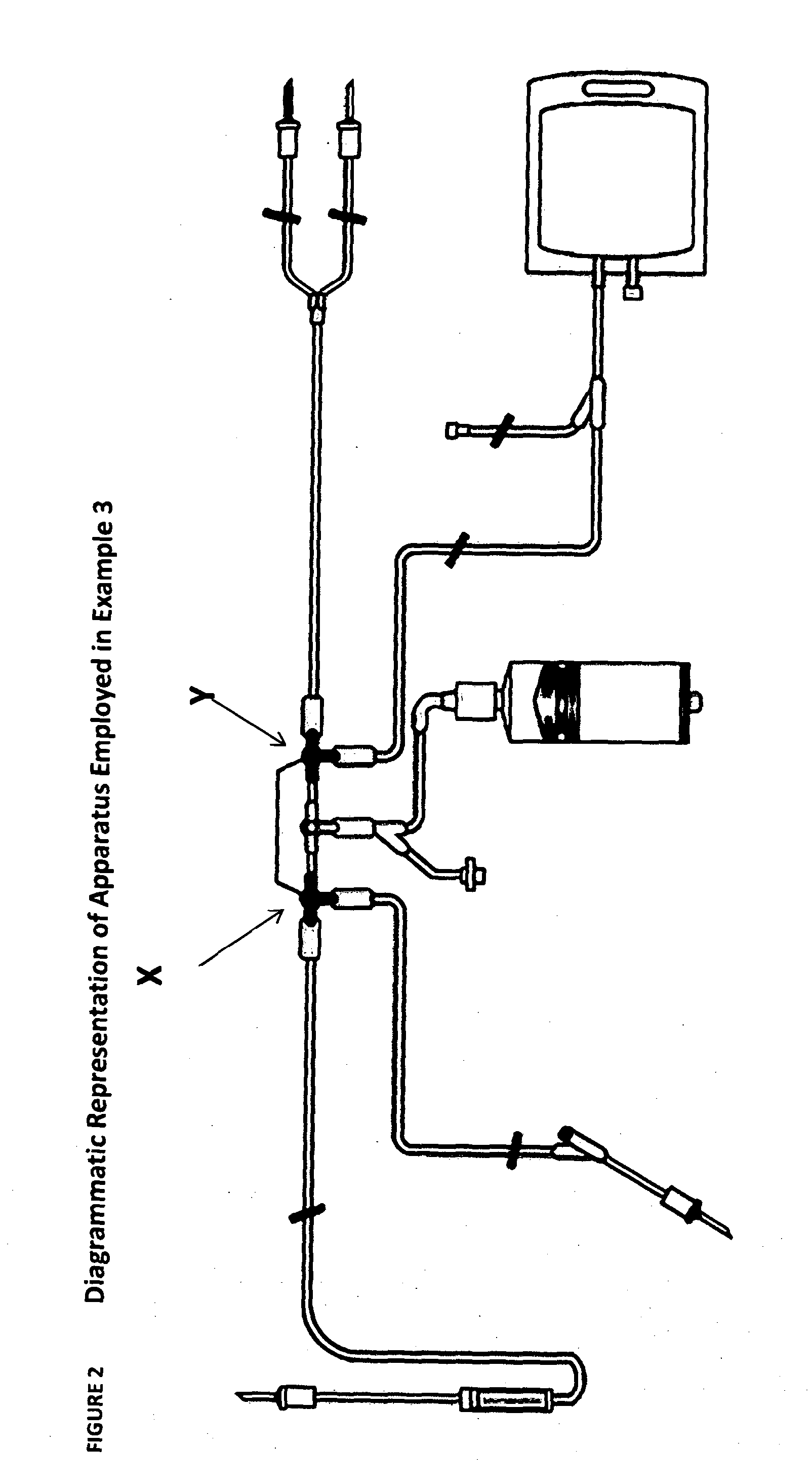 Process for t cell expansion