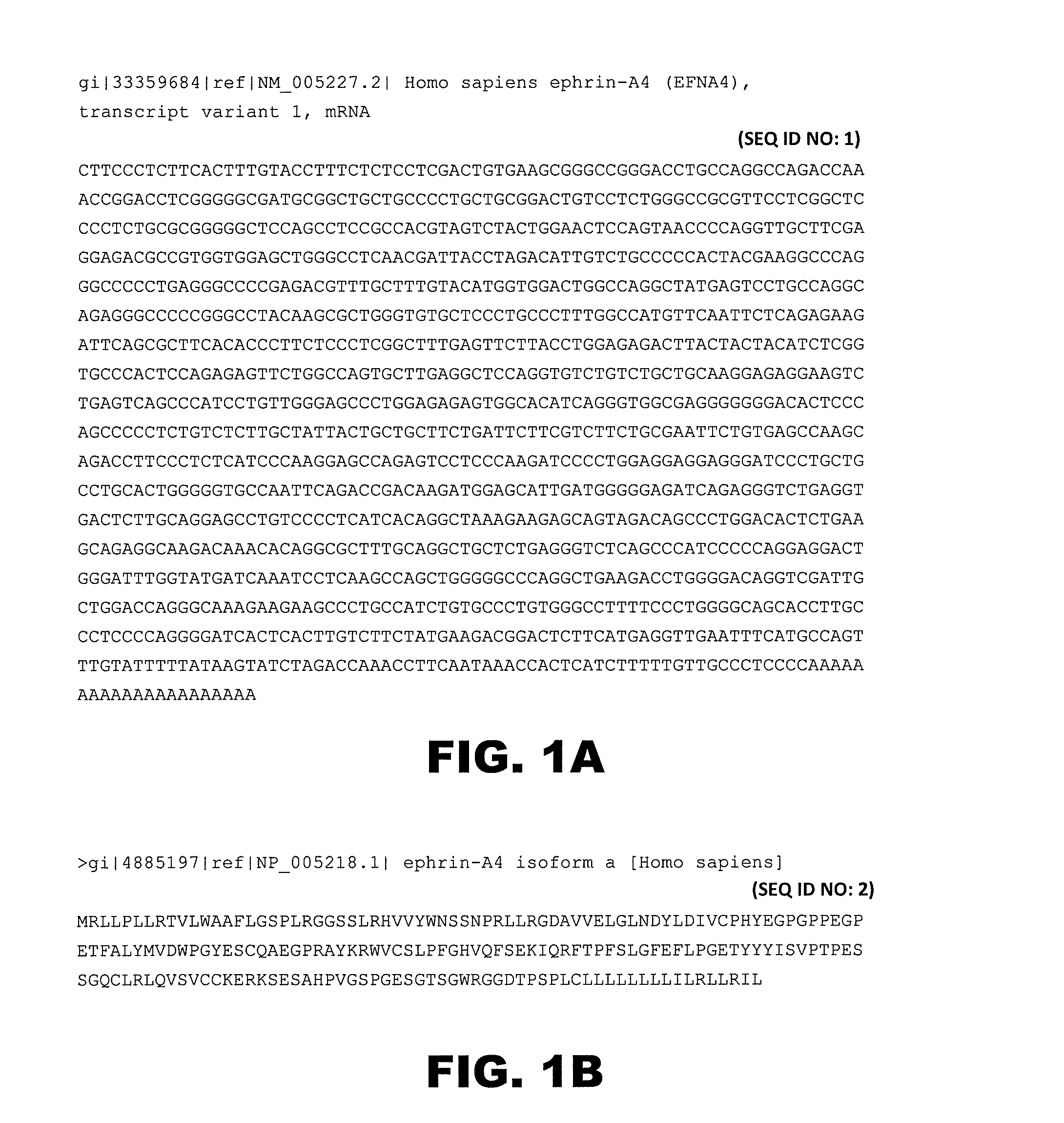 Novel modulators and methods of use