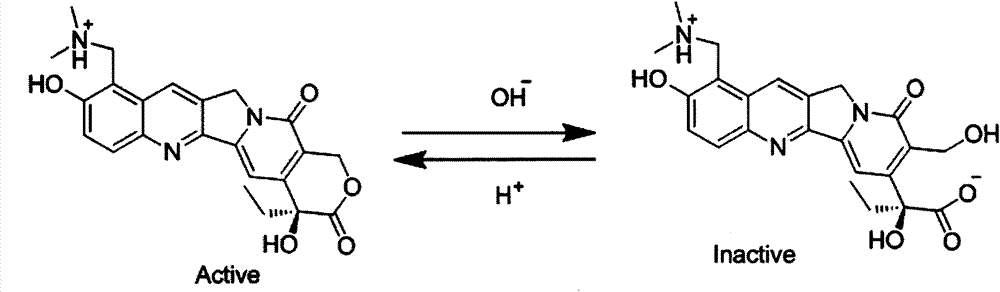 Novel hydrochloric acid topotecan intratumor injection preparation composition and preparation method thereof