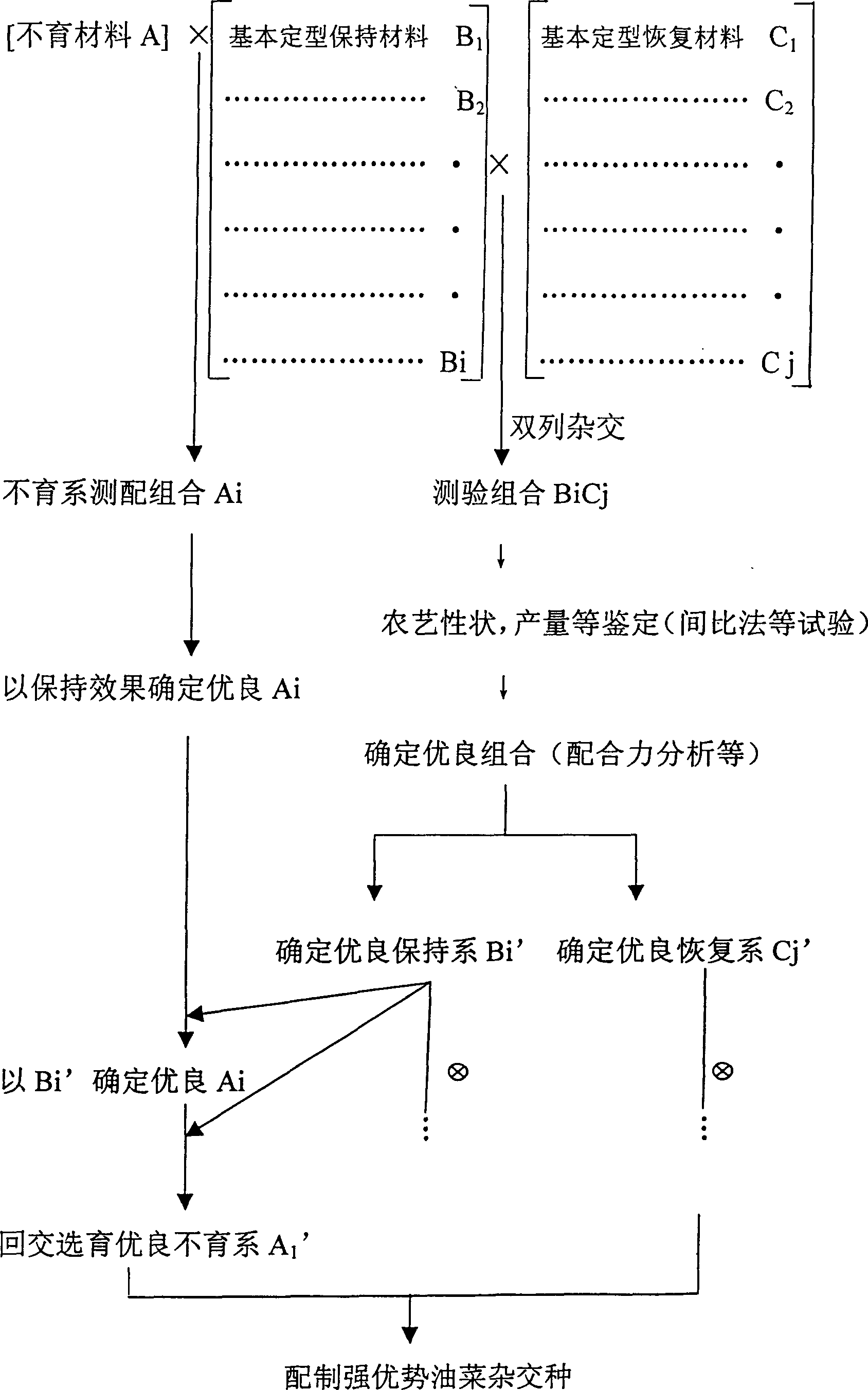 Method for selective cultivation of three systems of sytoplasmic male stirility rape by early generation concerned