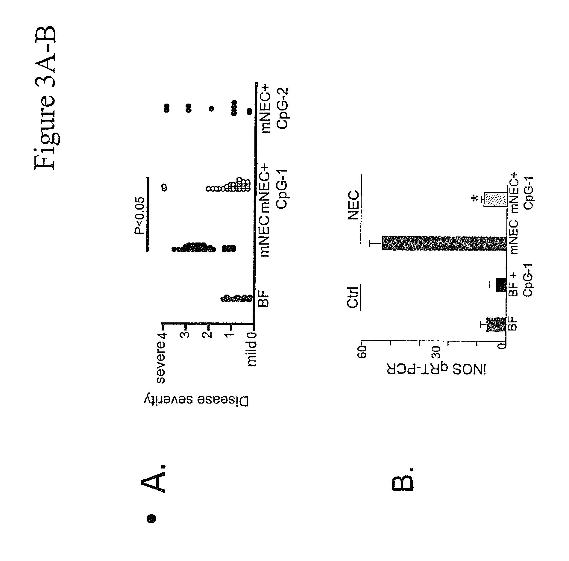 Oral therapy of necrotizing enterocolitis