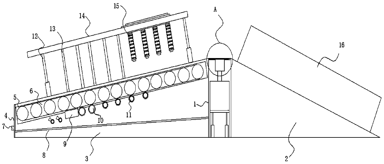 Massage and exercise device capable of improving pork quality of Wannan spotted pigs