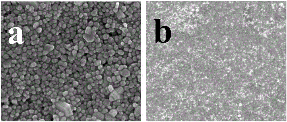 Capacitive flexible pressure sensor based on composite material dielectric layer and preparation method of capacitive flexible pressure sensor