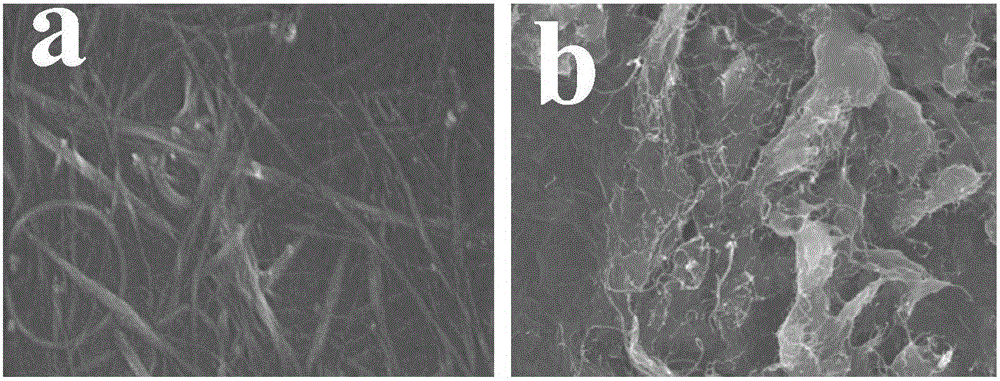 Capacitive flexible pressure sensor based on composite material dielectric layer and preparation method of capacitive flexible pressure sensor