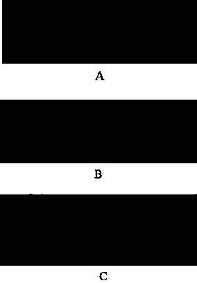 Probes and gene chip for pseudomonas aeruginosa nucleic acid detection, and kit