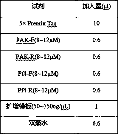 Probes and gene chip for pseudomonas aeruginosa nucleic acid detection, and kit