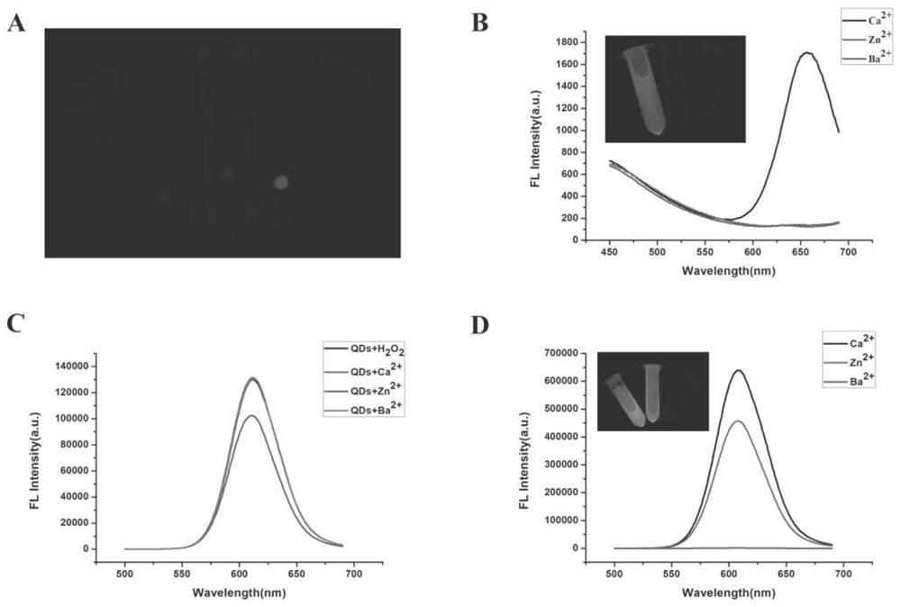 A sodium alginate gel microsphere embedded with quantum dots and enzymes, its preparation method and its application in biochemical detection