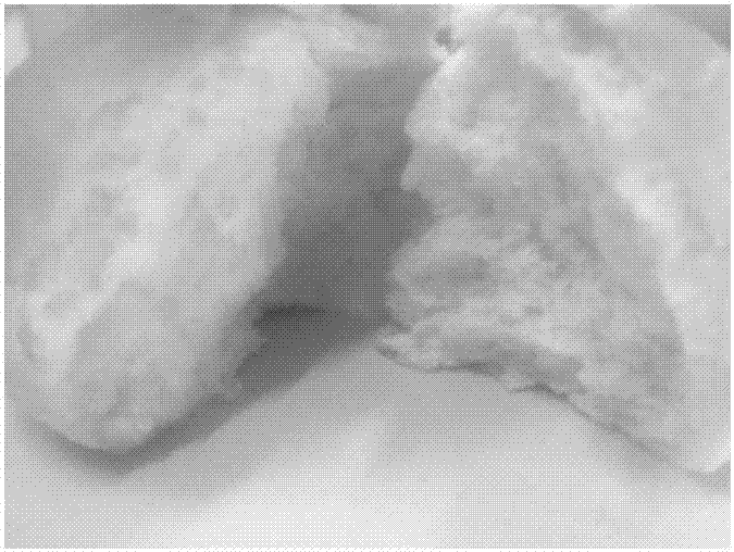 Lactic acid bacterium and saccharomycete co-fermented bread and production method thereof