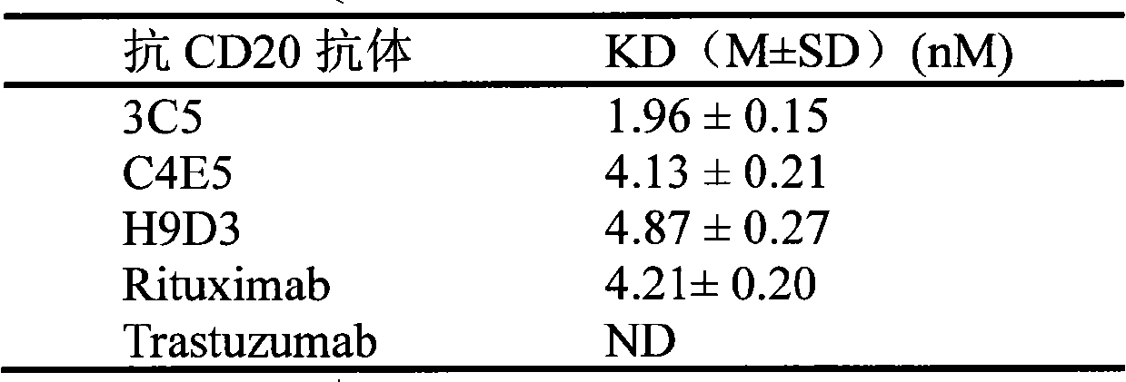 Human anti-CD20 monoclonal antibody and preparation method and application thereof