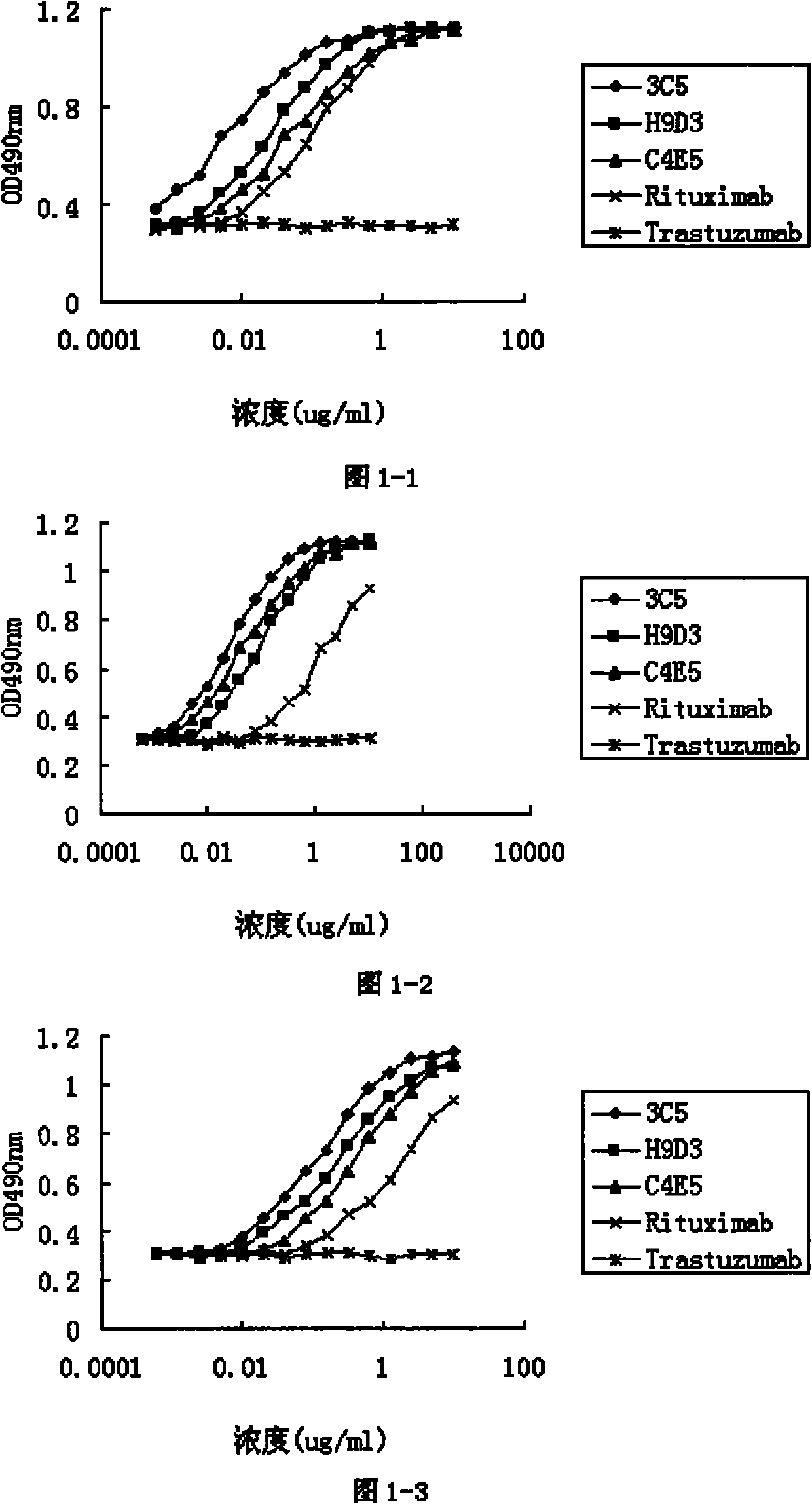 Human anti-CD20 monoclonal antibody and preparation method and application thereof