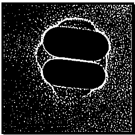 Gold nanorod dimer asymmetric modification method with biocompatibility