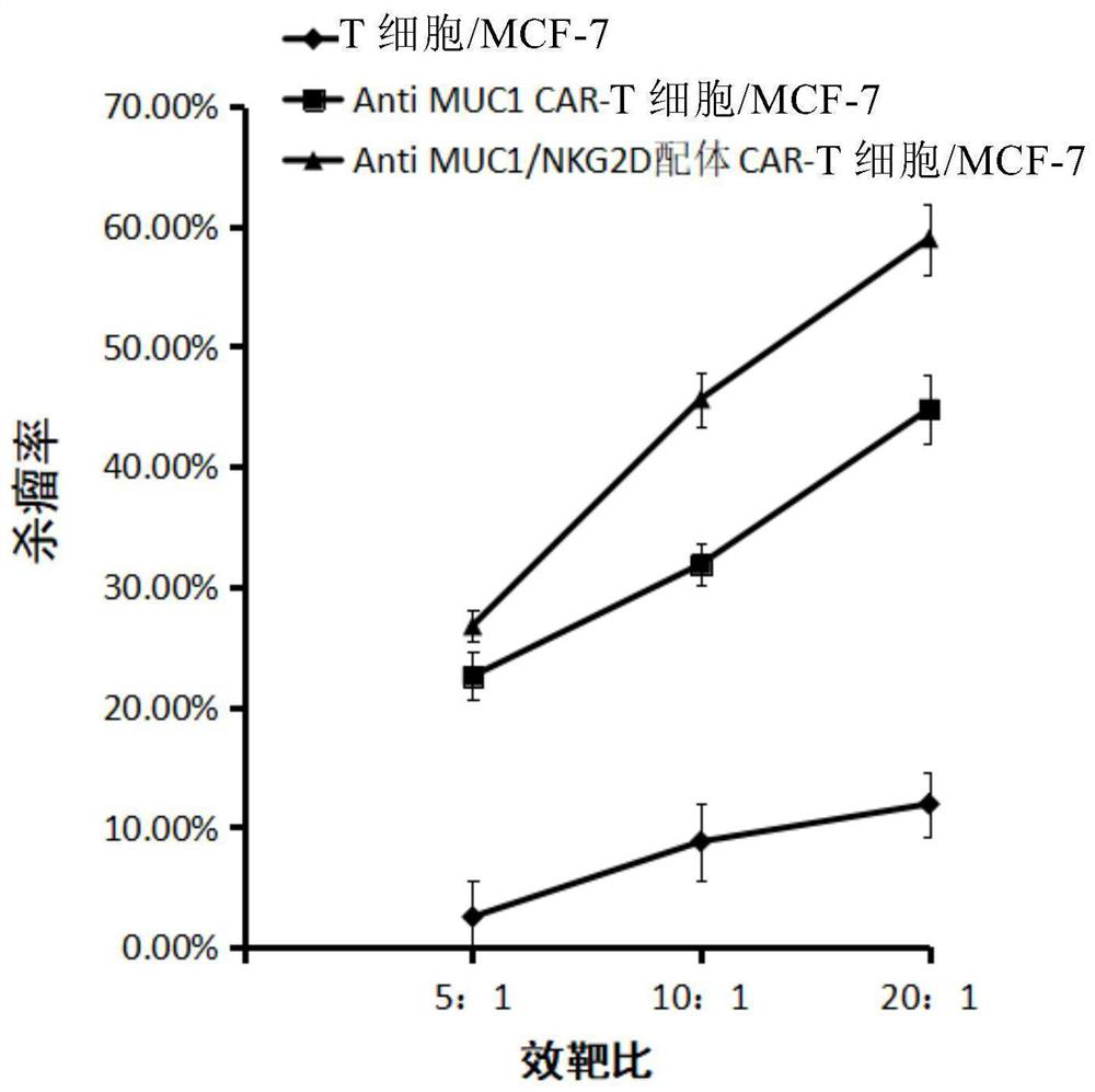 Chimeric Antigen Receptor Expressed on the Surface of T Lymphocytes and Its Application