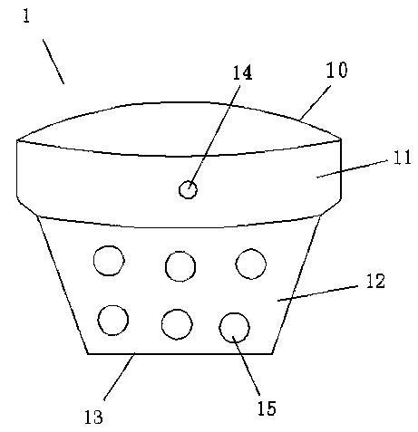 Planting method of dendrobium candidum