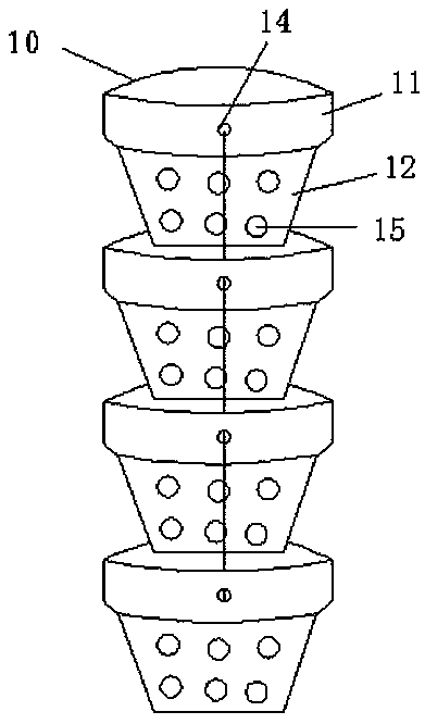 Planting method of dendrobium candidum