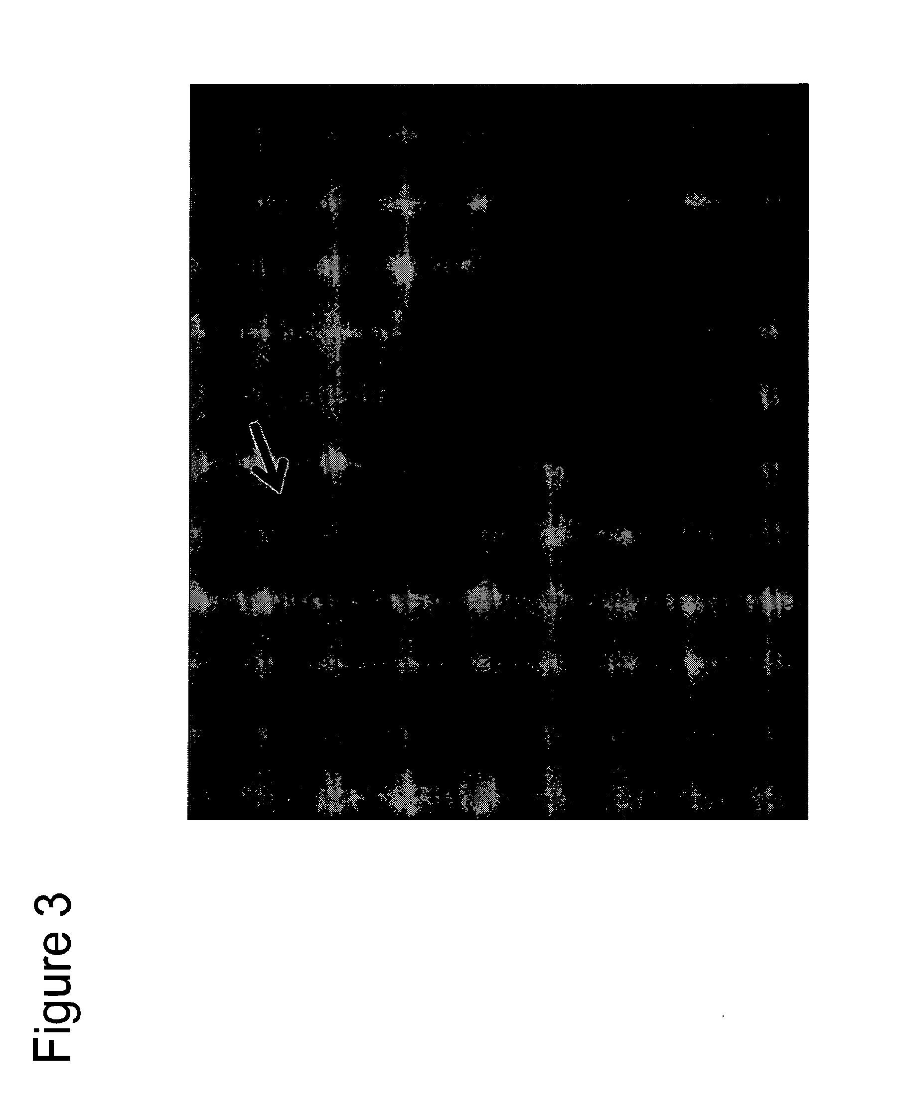 Highly efficient methods for reprogramming differentiated cells and for generating animals and embryonic stem cells from reprogrammed cells