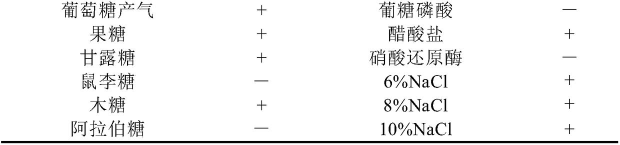 Bacillus altitudinis and application thereof in control of tomato root-knot nematode