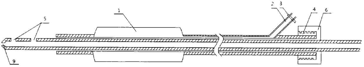 Percutaneous double catheterization cannula used for kidney puncturing