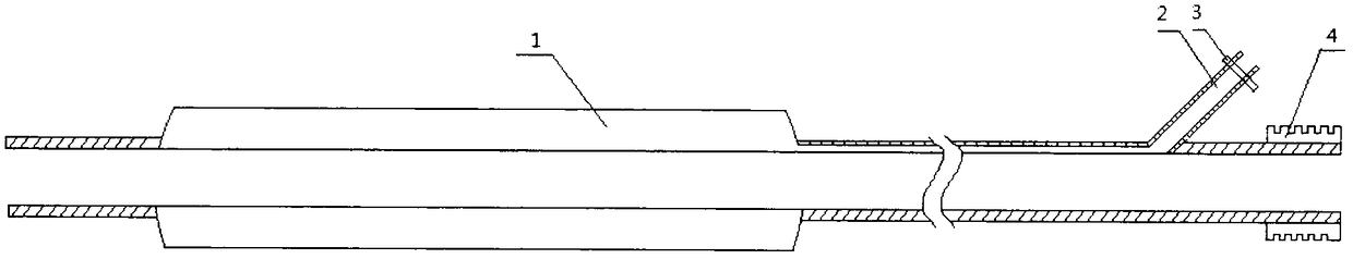 Percutaneous double catheterization cannula used for kidney puncturing