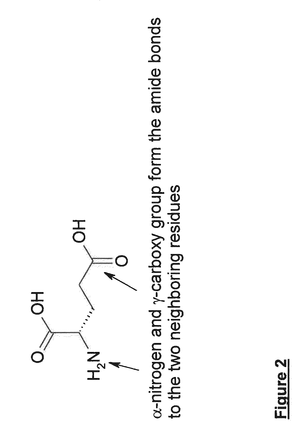 Polypeptides