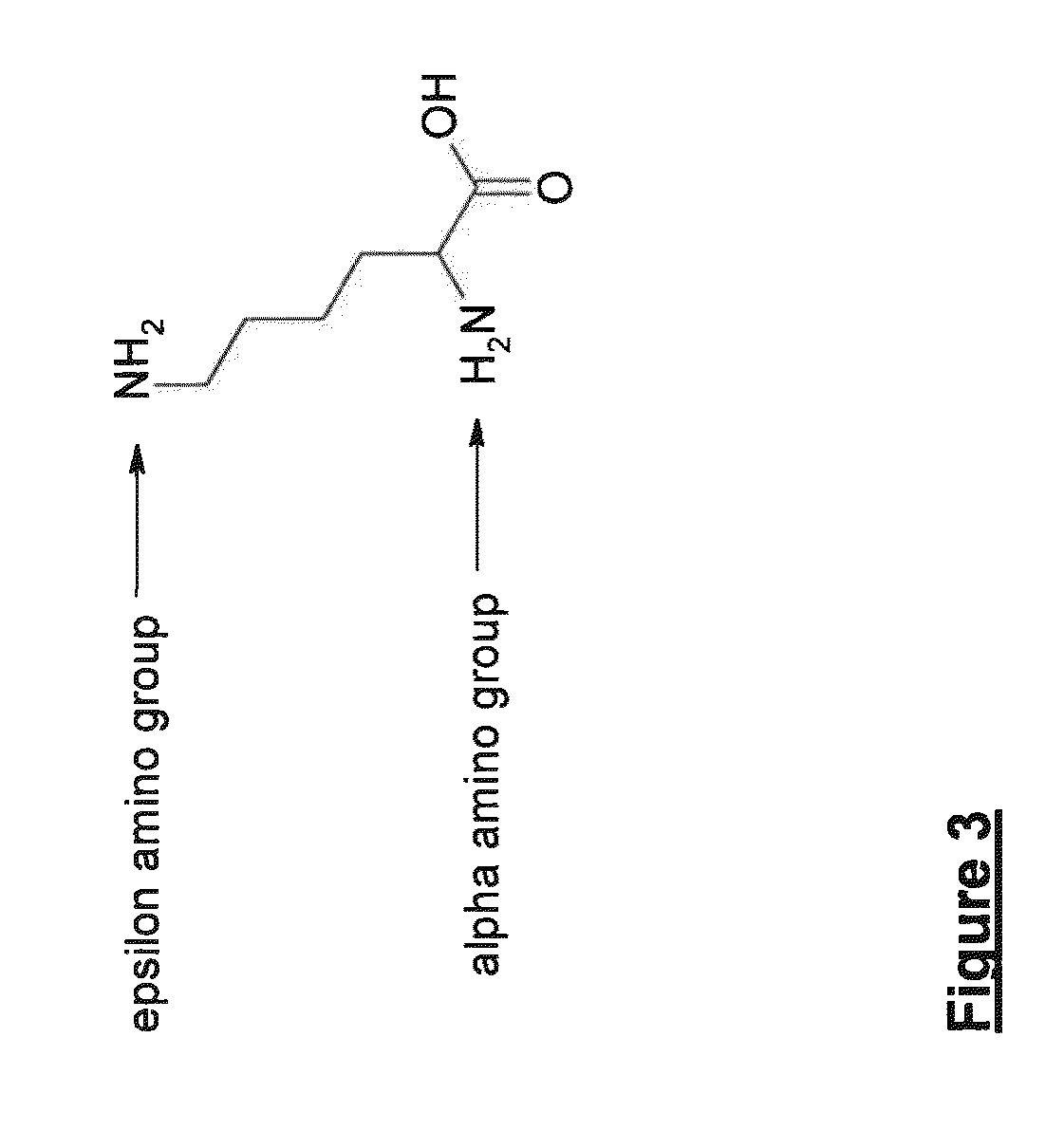 Polypeptides