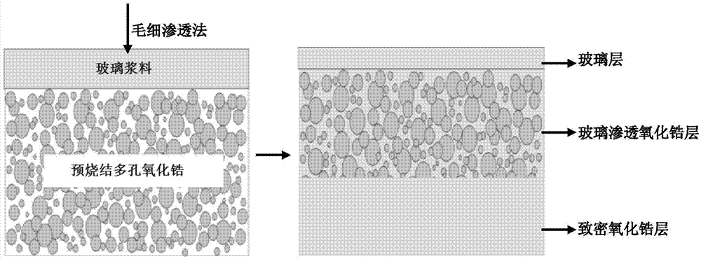 Preparation method of functionally graded zirconia ceramic material with dental glass part permeation