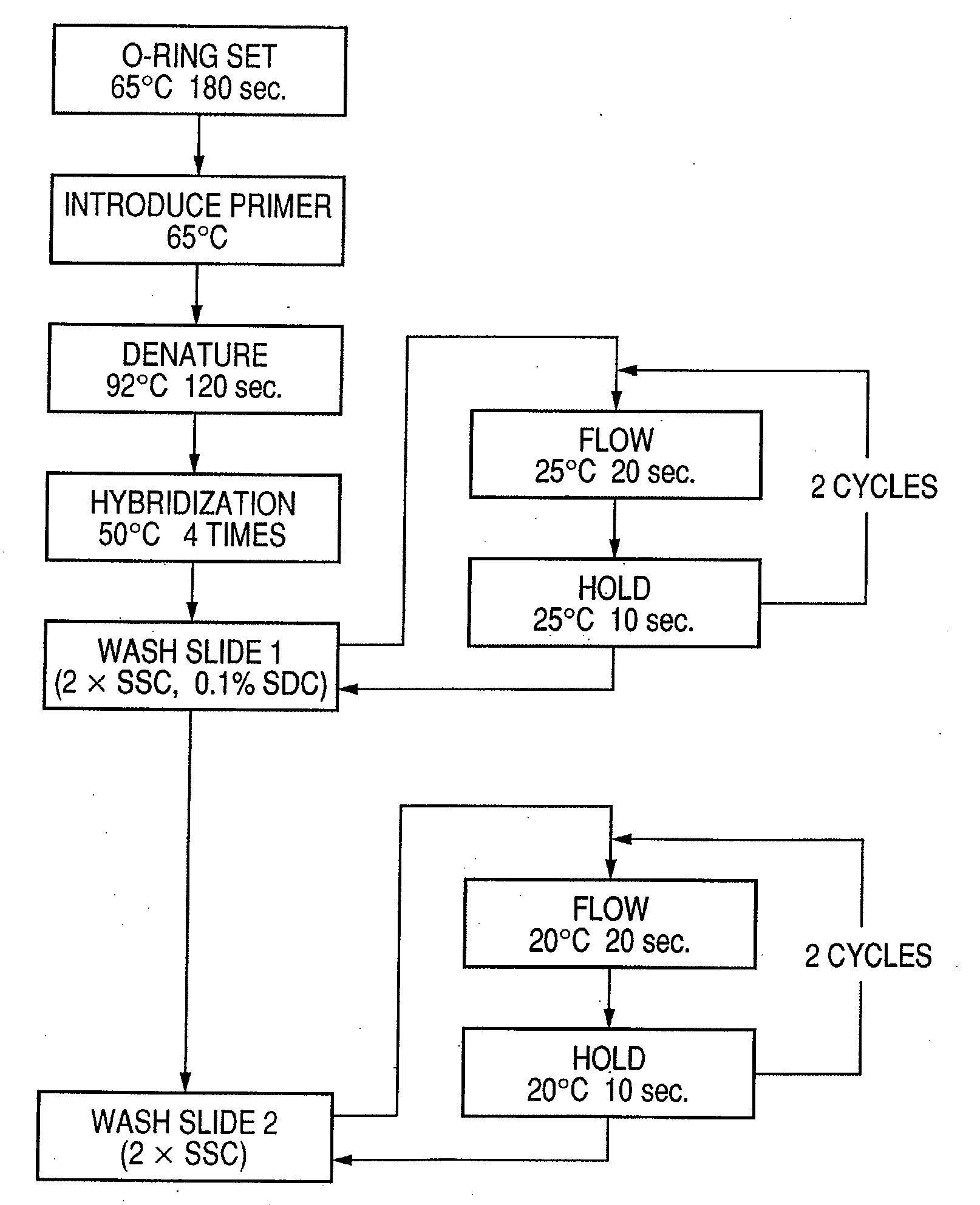 Probe, probe set, probe carrier, and testing method