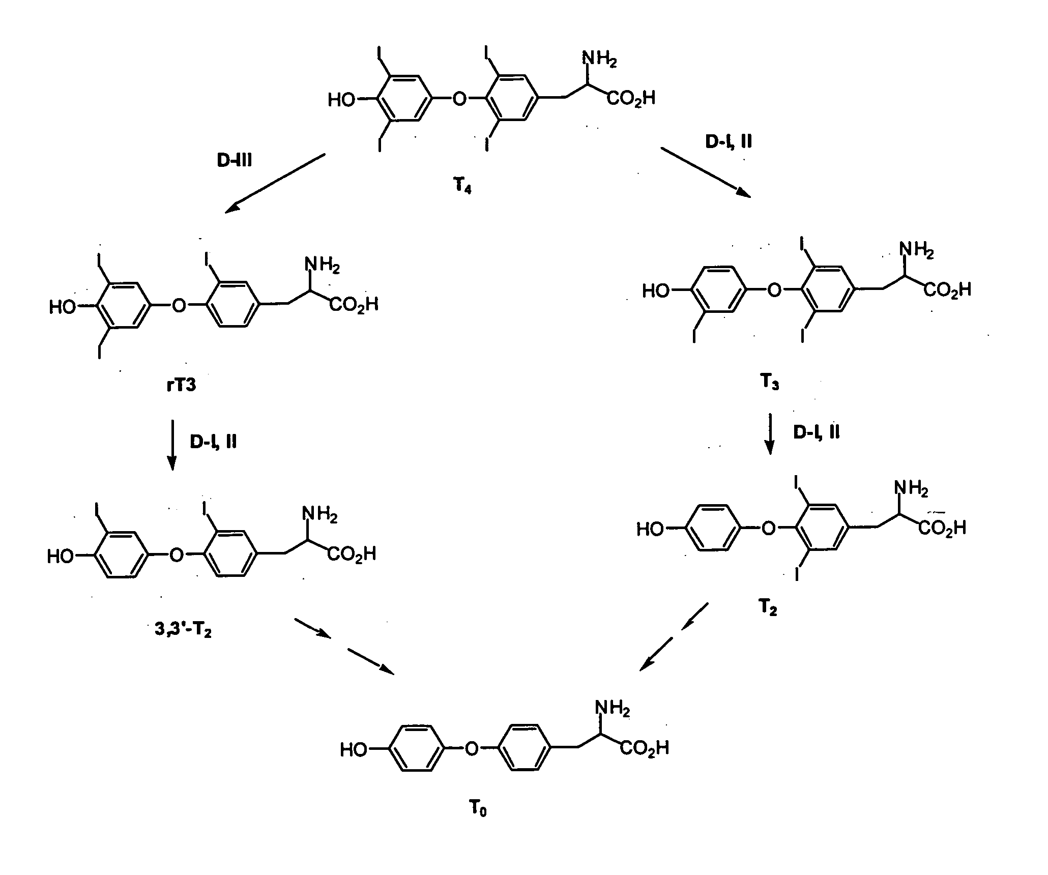 Thyronamine derivatives and analogs and methods of use thereof