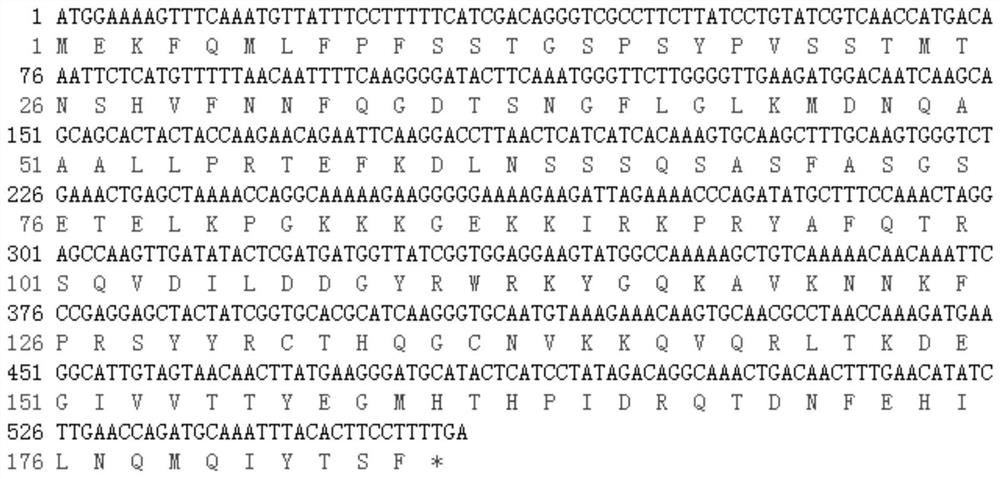 A kind of rubber tree hbwrky82 gene and its application