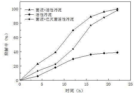 Phenol-resistant heterotrophic nitrification-aerobic denitrification strain and applications thereof