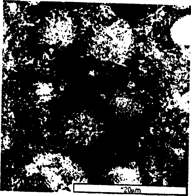 Floor tile made of oil field sludge and its production process