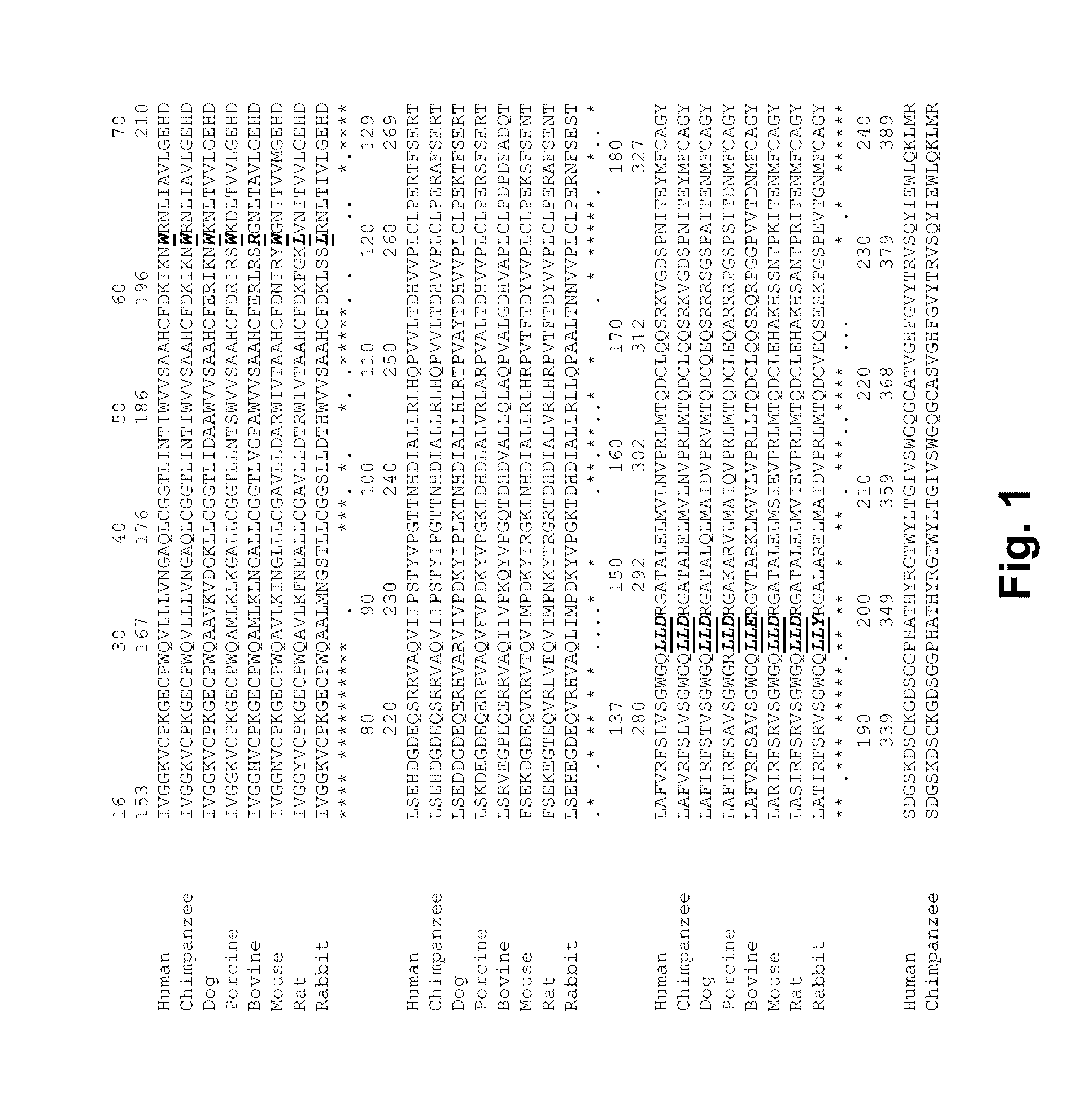 Coagulation factor vii polypeptides