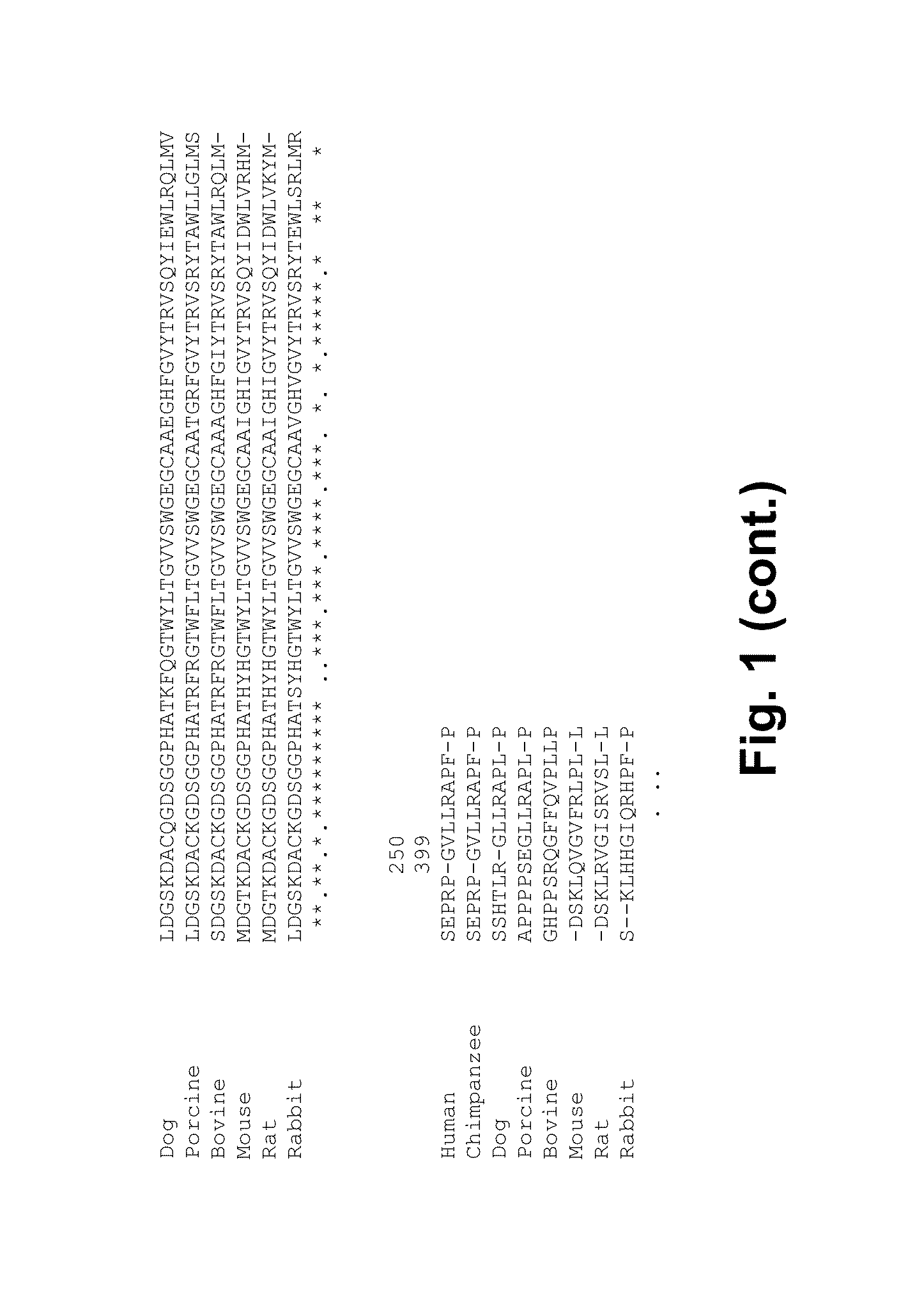 Coagulation factor vii polypeptides