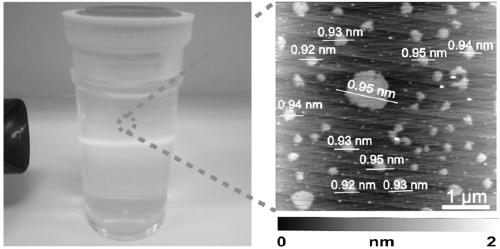 Preparation method of acid type niobium phosphate oxygen monoatomic layer sheet